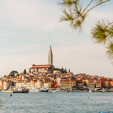 Summer Dream, Center Of Rovinj Extérieur photo